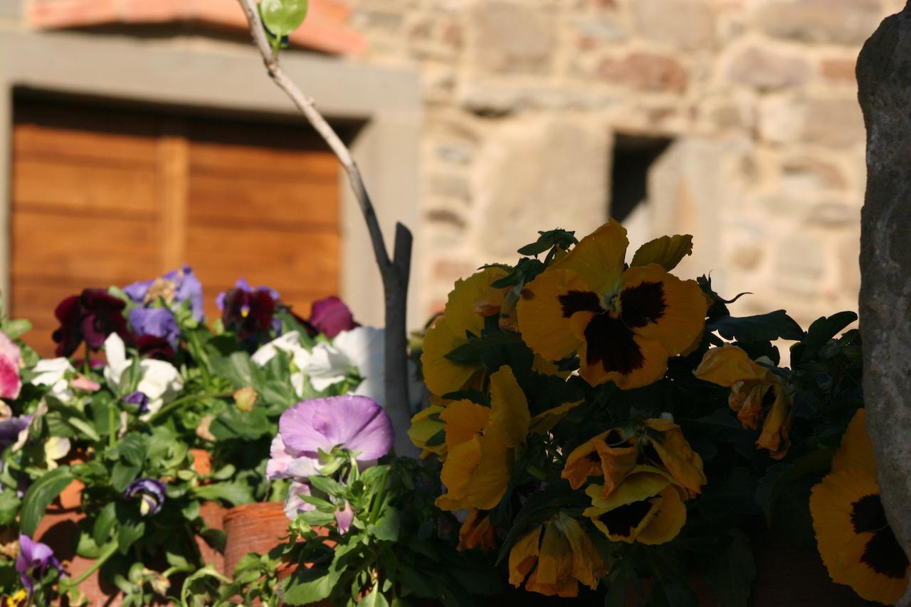 Podere Pian De' Cortini Villa Serravalle  Eksteriør billede